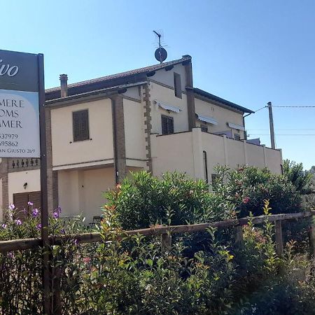 Agriturismo Il Vecchio Olivo กัสตาลเญโต การ์ดุชชี ภายนอก รูปภาพ