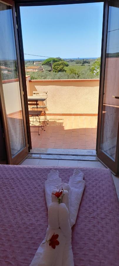 Agriturismo Il Vecchio Olivo กัสตาลเญโต การ์ดุชชี ภายนอก รูปภาพ